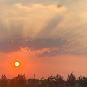 月移空枕影犹单