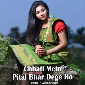 Chhati Mein Pital Bhar Dege Ho