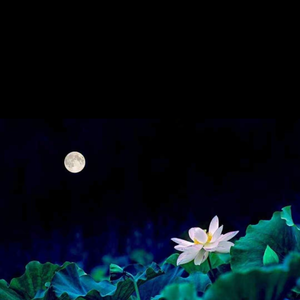 荷塘月色（朱自清•民国）