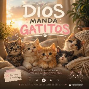 DIOS MANDA GATITOS