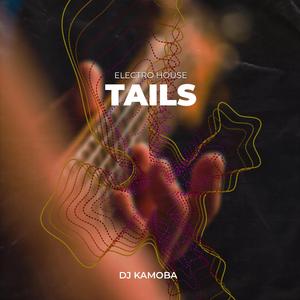 Tails (Electro House)