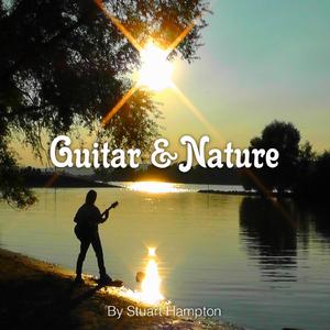 Guitar and bird sounds