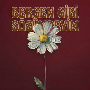 Bergen Gibi Sözümdeyim