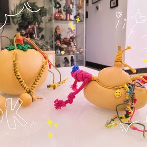 男孩别哭（女声版）