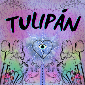 Tulipán