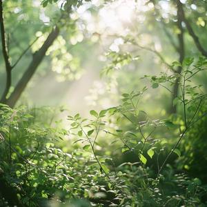 木漏れ日と風が止まる午後 – When Light and Wind Pause