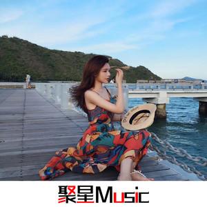 多一点少一点(抖音DJ版)