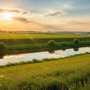 햇살 쏟아지는 창가 (Sunlight by the Window)