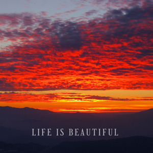 今はただ、今はまだ