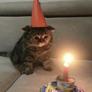 alicia keys no one - Slowed + Reverb