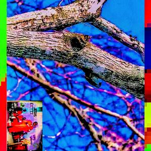 DoYouUnderstandTheeWordsThatRComingOutOfMyMouf?!