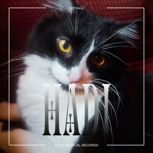 Hadi (El que guía por buen camino)