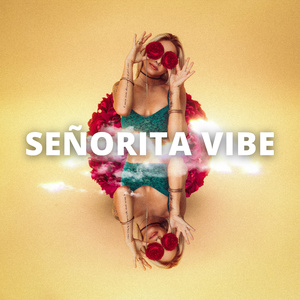 Señorita Vibe