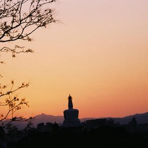 浮游街