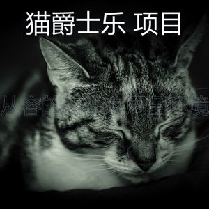 微妙的小猫心情