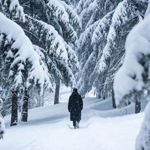 冬雪替你拥抱我