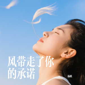 风带走了你的承诺