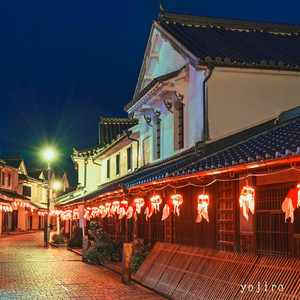 鎮守の森の大銀杏