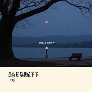 是你还是我放不下