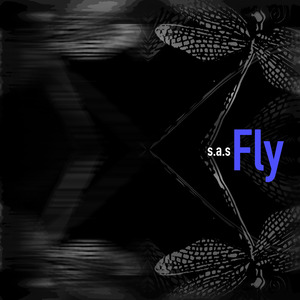 Fly