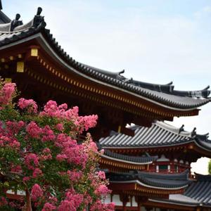 那些花儿民谣编配版