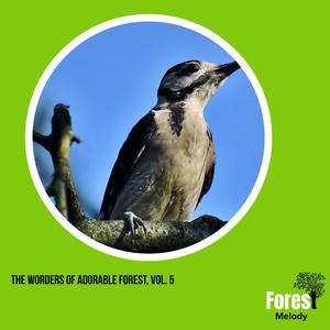 Hypnotic Rattle Snake