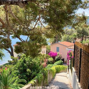 适合办公事务轻音乐