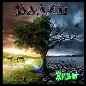 Школа жизни