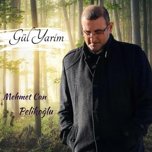Gül Yarim