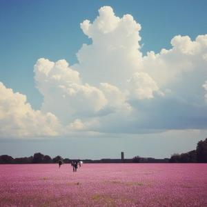 It's a beautiful day