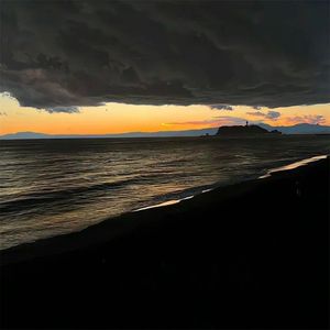 花不是为花店而开，人有各自的月亮