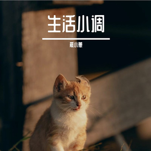 时节如流