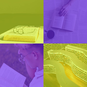 抚慰的大学回忆