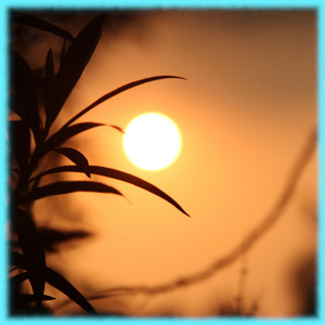 카치니 자장가 (평온한 숙면)