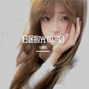 归途的光 (DJ版)