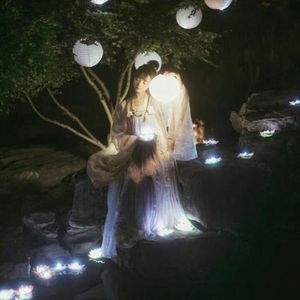 长枪策马平天下 (抖音版)