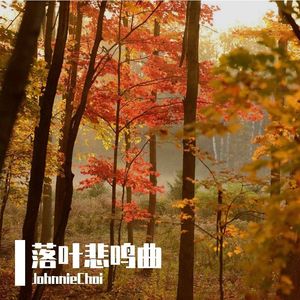 落叶悲鸣曲