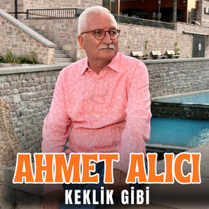 Keklik Gibi Kanadımı Süzmedim