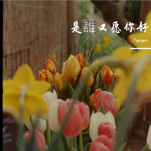 是誰又愿你好