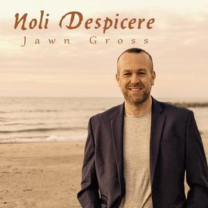 Noli Despicere