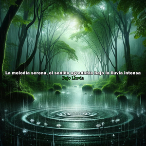 La Serenata de la Lluvia, un Concierto Natural Bajo Nubes Cargadas