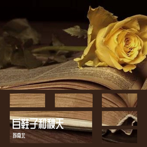 白鞋子和秋天