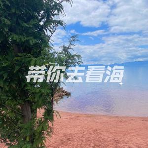 带你去看海