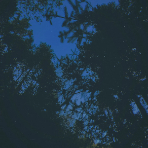 暗藍隱匿 / Concealed