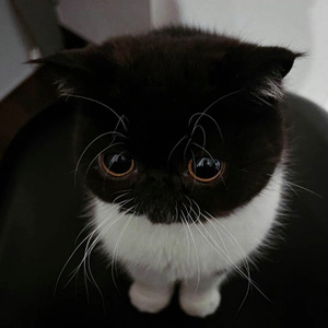 下载您的文件 — Convertio(2)