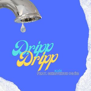 DRIPP DRIPP (feat. Geimverur og ég)