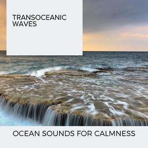 Love Birds and Ocean Waves