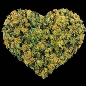 Love Me Faded