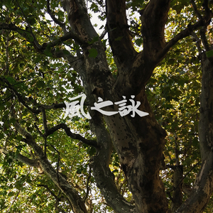 風之詠