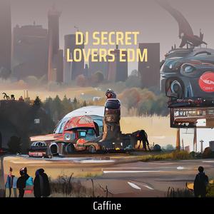 Dj Secret Lovers Edm (Remix)